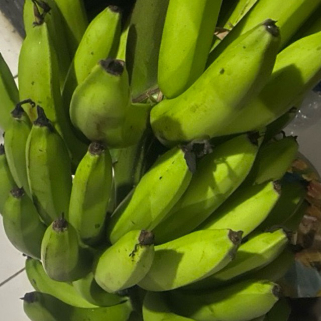 

Buah Pisang Matah JE R 1 Kg Fv Buah Pisang