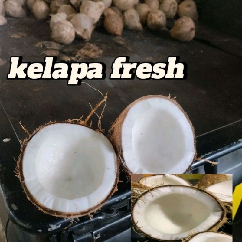 

kelapa Tua ciamis