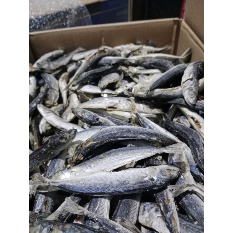 

ikan layang rebus