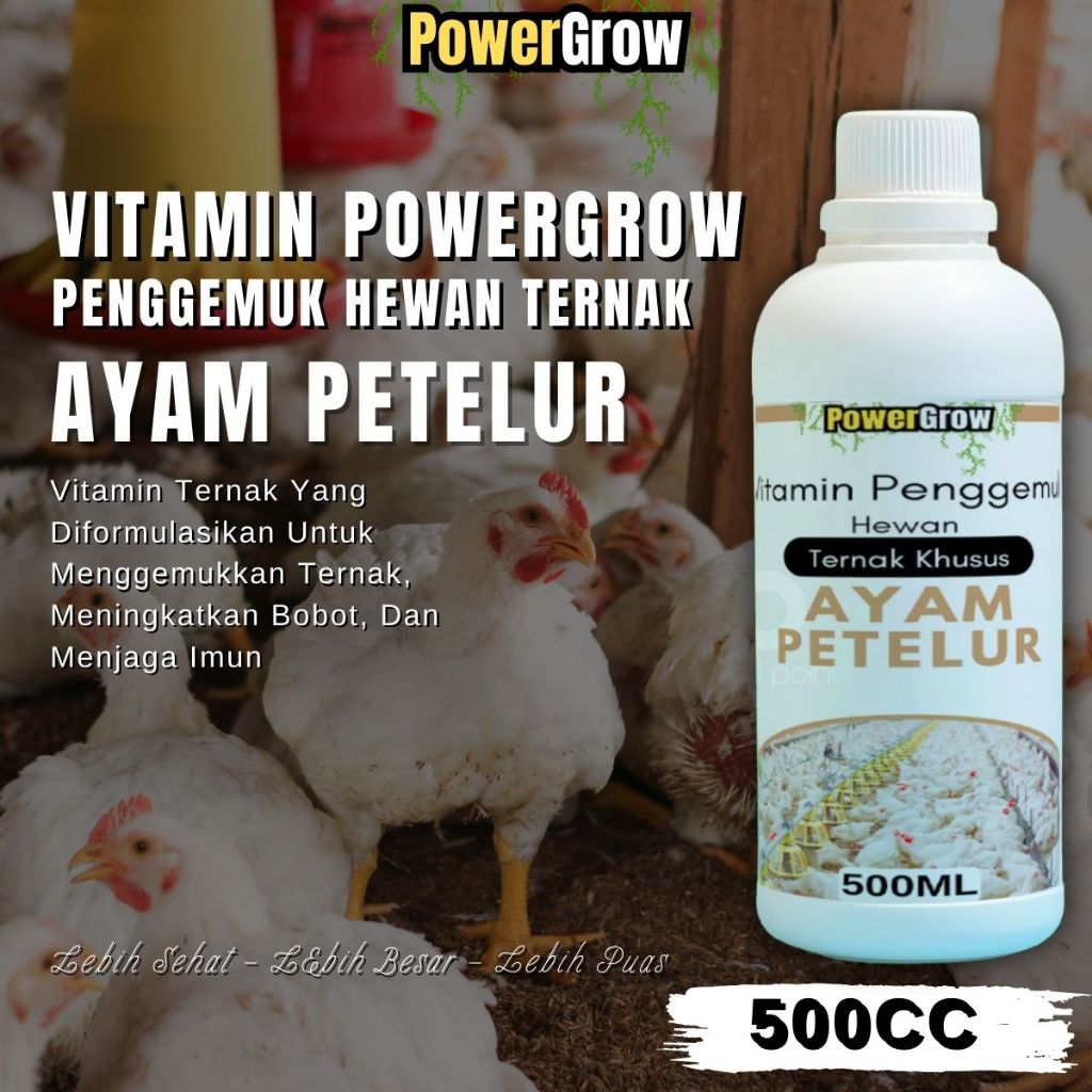 Vitamin Ayam Petelur Cepat Besar Vitamin Ayam Agar Cepat Gemuk Vitamin Ayam Penambah Nafsu Makan