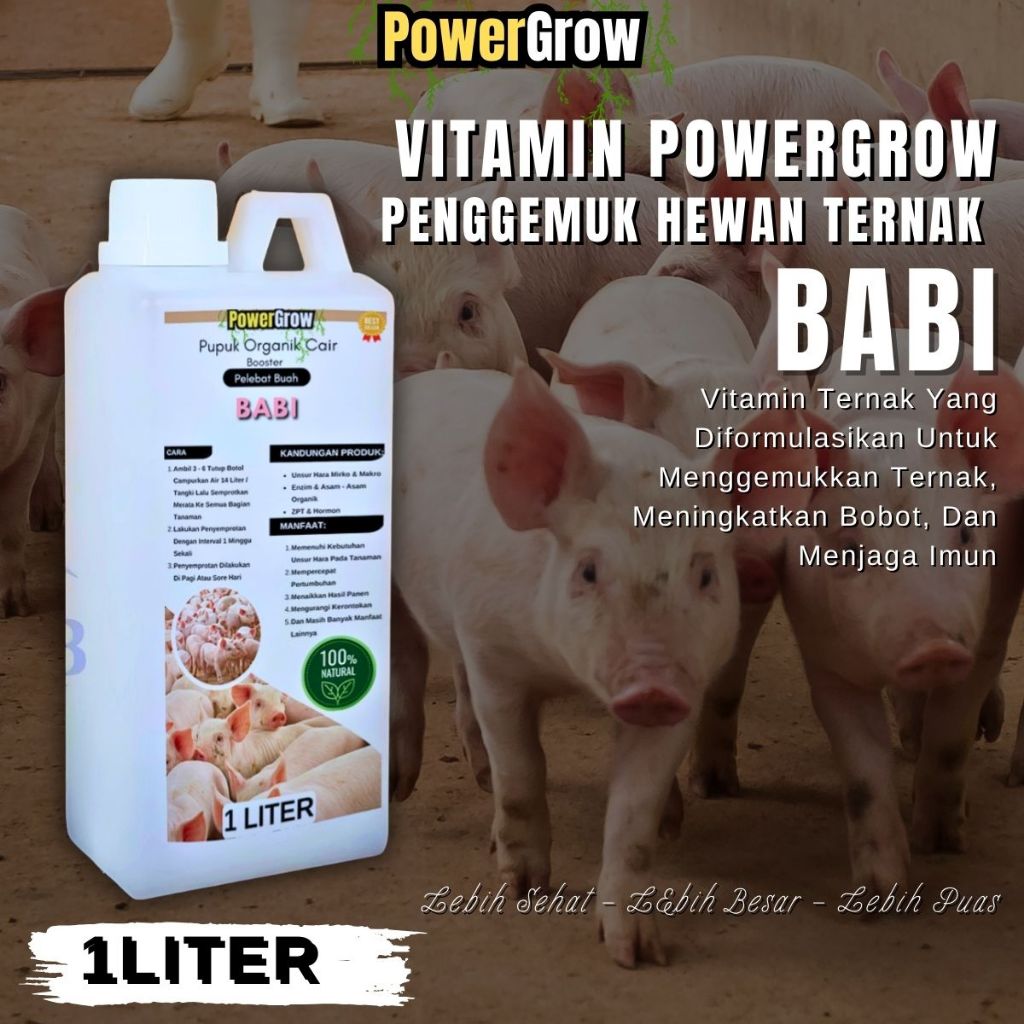 Vitamin Booster Babi Vitamin Babi Penggemuk Hewan Vitamin Babi Peningkat Nafsu Makan Ternak