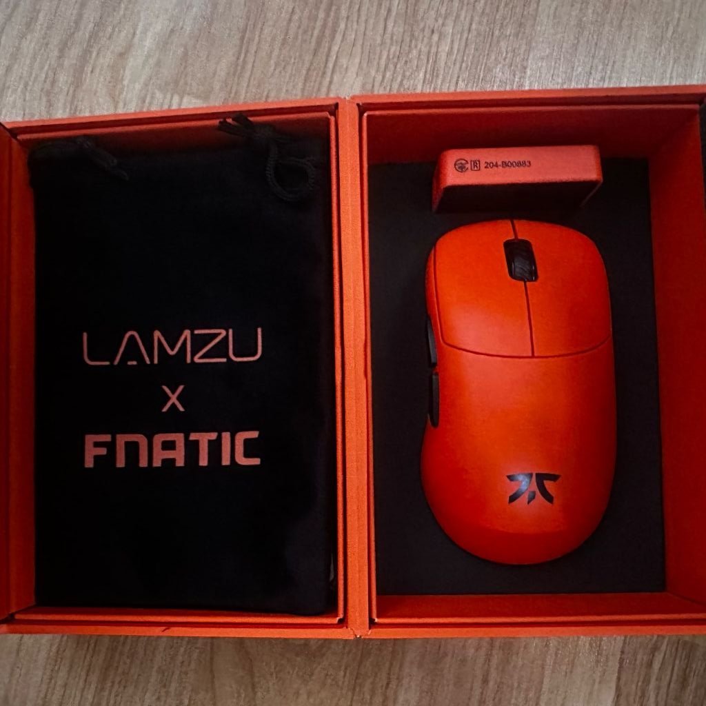 Lamzu Thorn Fnatic