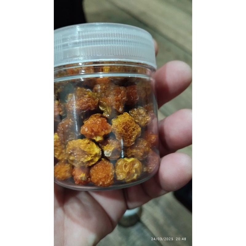 

kismis buah ciplukan langsung dr buah ciplukan/golden berry