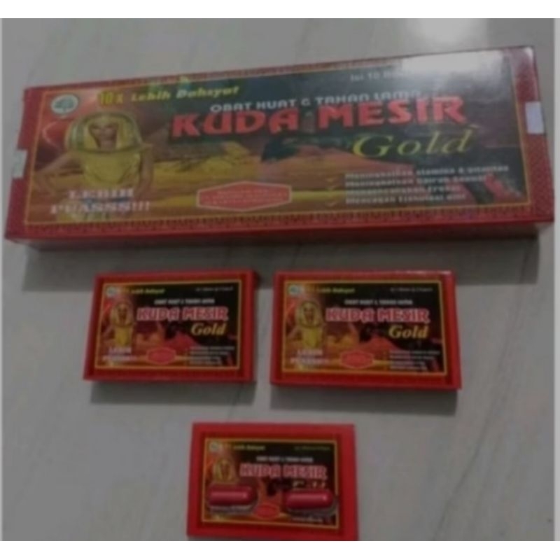 kuda mesir gold kapsul box panjang