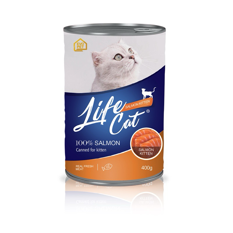 LIFE CAT KITTEN SALMON