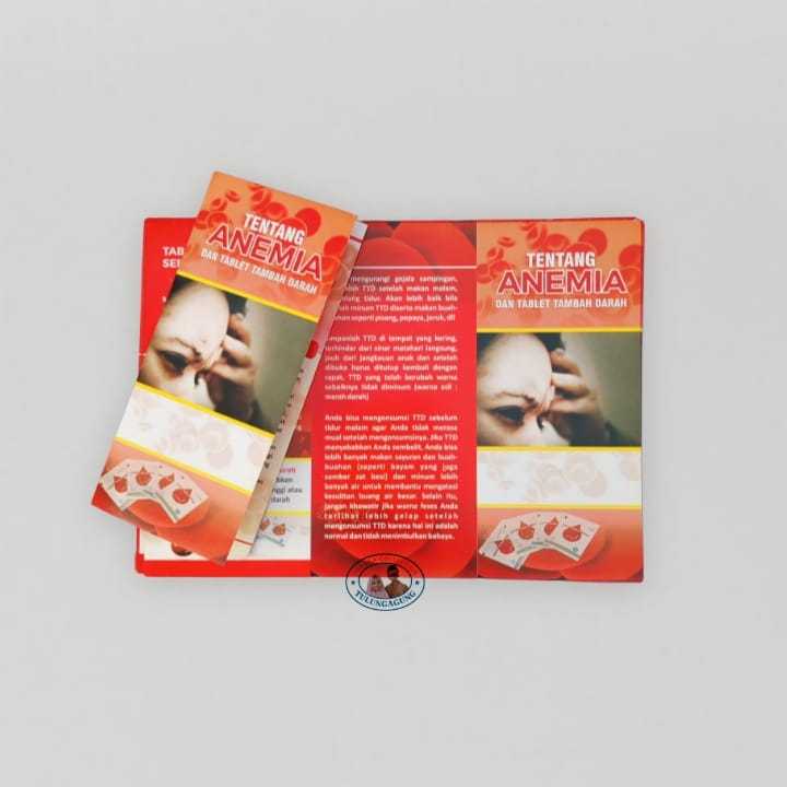

Leaflet Anemia Dan Tablet Tambah Darah | Leaflet Edukasi Anemia