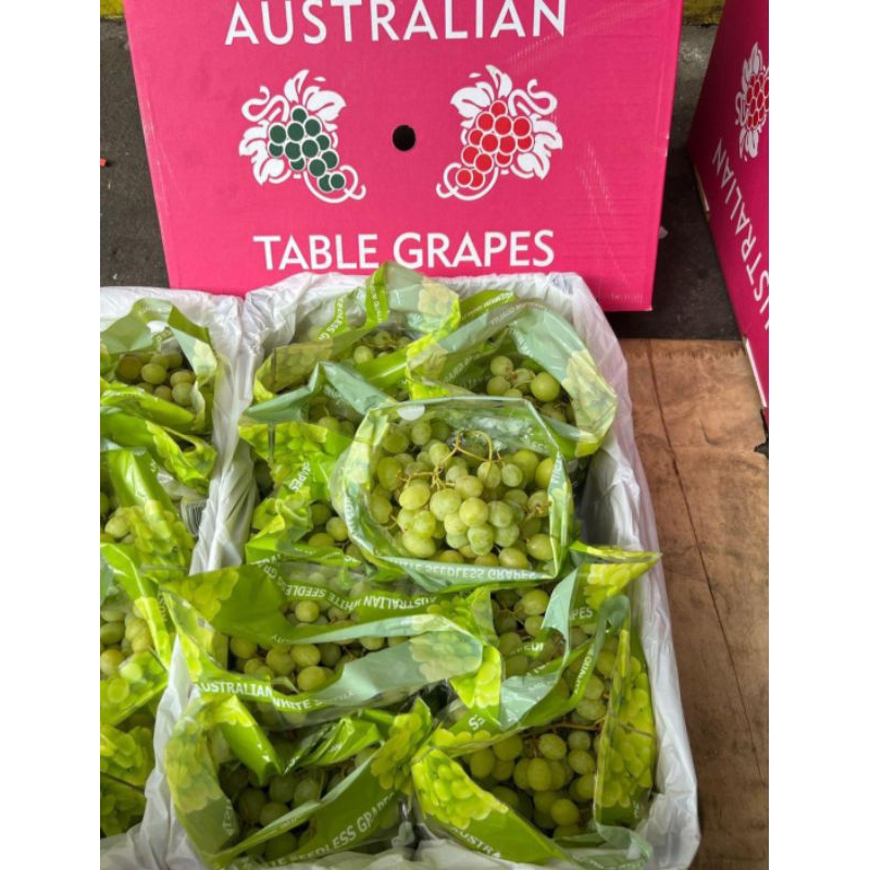 

Anggur Hijau Tomson Thomson Anggur Hijau Australia 1 Dus 9 kg 9pack Seedless Tanpa Biji