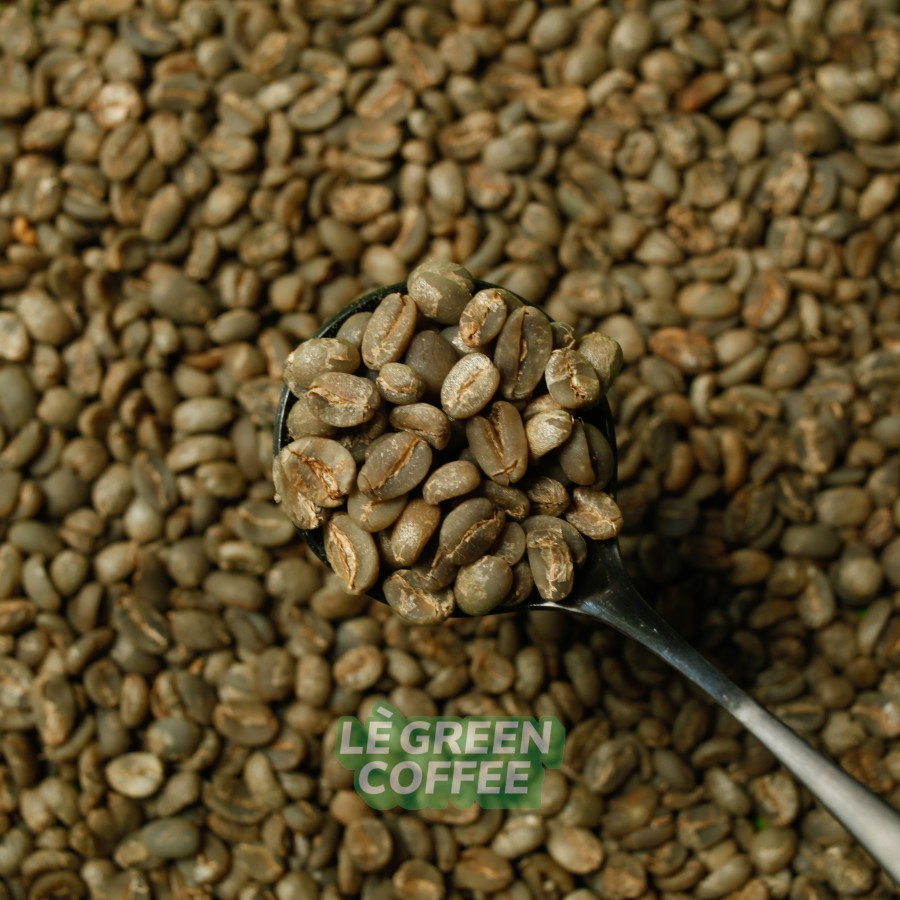 

ARABICA FLORES FULL WASH (Biji Kopi)