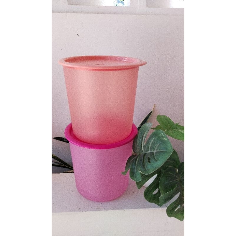 alona canister Moorlife