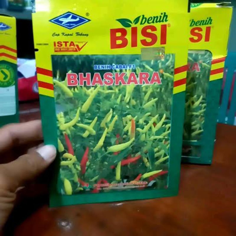 benih cabe Bhaskara f1 10 gram