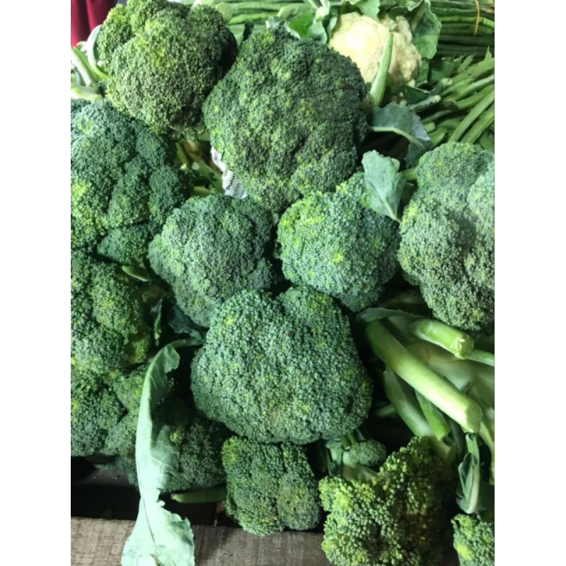 

Brokoli 400gr - 600gr