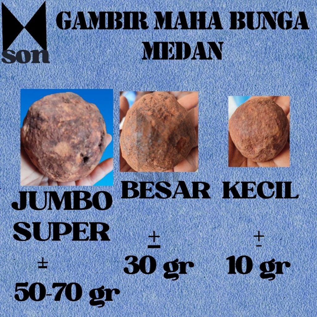 

GAMBIR MAHA BUNGA MEDAN ASLI
