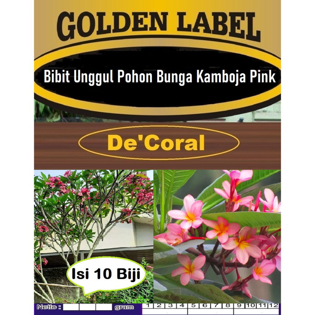 Bibit Unggul Pohon Bunga Kamboja Pink | Biji Benih Pohon Bunga Kamboja