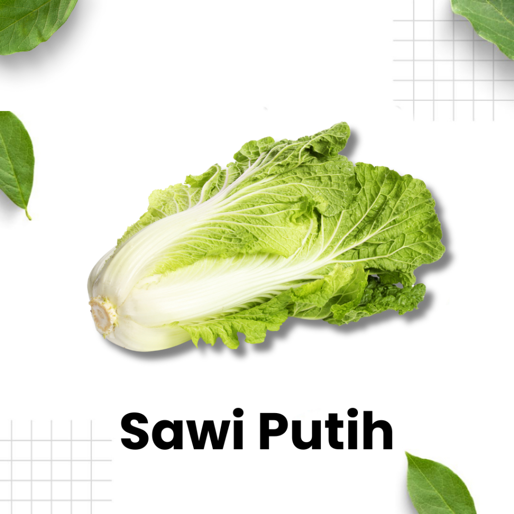 

Sawi Putih Segar /sawi putih / sawi segar / sayuran hijau / sayur sawi / pasar sayur