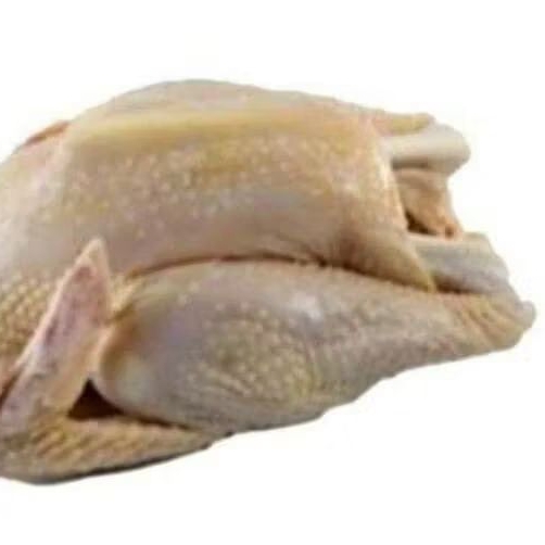 

Daging Ayam Kampung Per Ekor.
