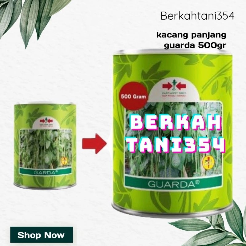 BENIH KACANG PANJANG Guarda/garda 500gram / benih kacang panjang cap panah merah guarda 500gram