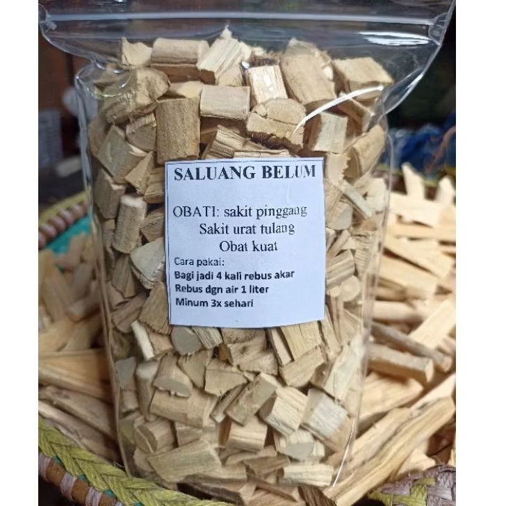 

SALUANG BELUM AKAR KAYU KALIMANTAN