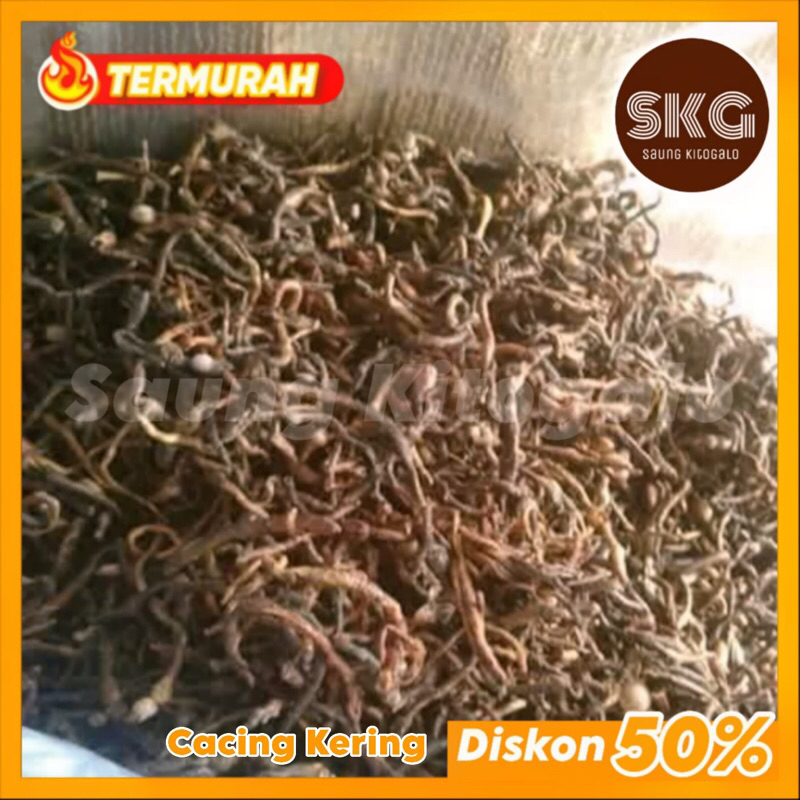 Cacing Kering Asli Murni dan Ampuh | cacing tanah kering