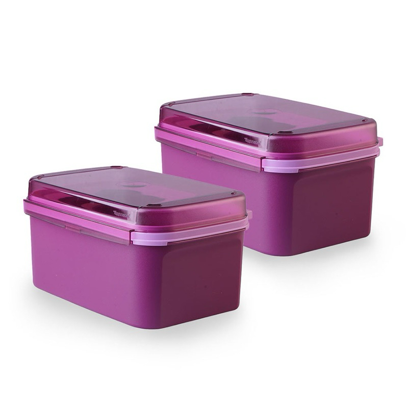 Ezy Keeper 4L Tupperware 2pcs