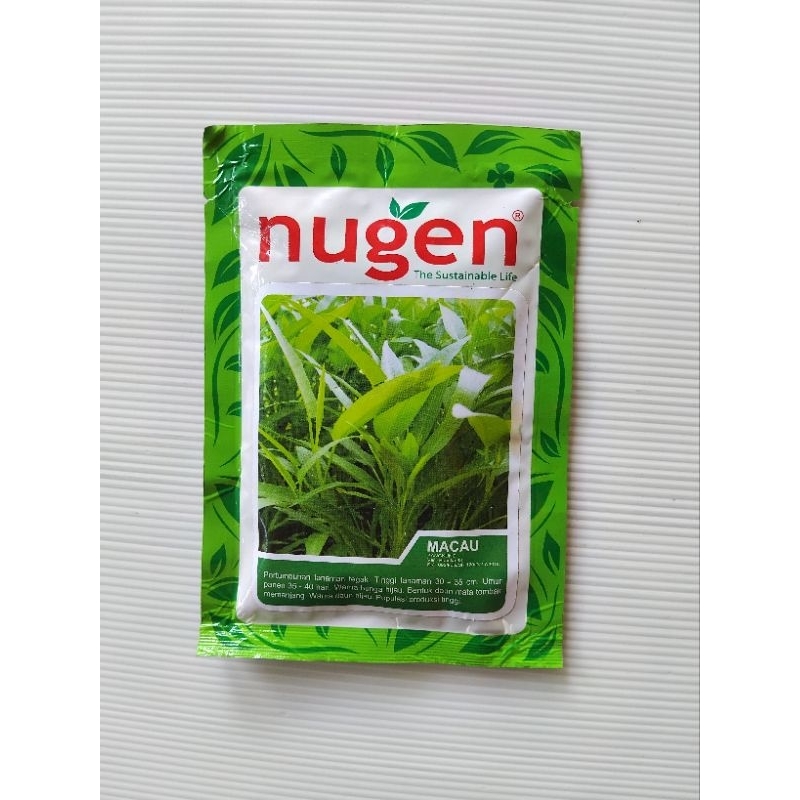 

Kangkung Macau Nugen