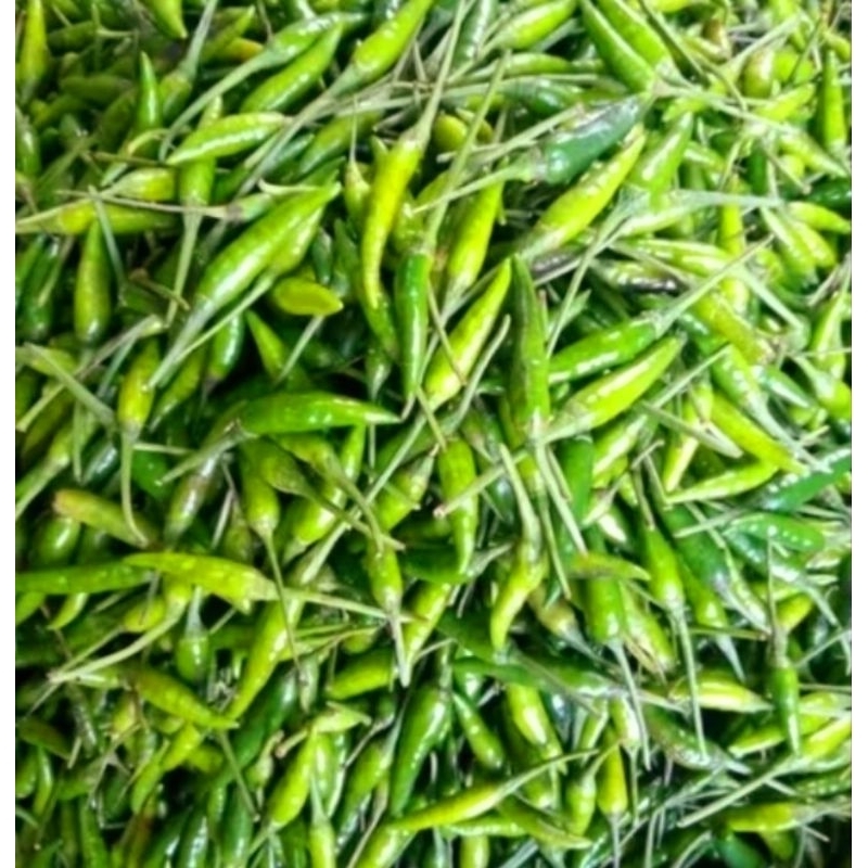 

Cabai Rawit Hijau 250 Gram