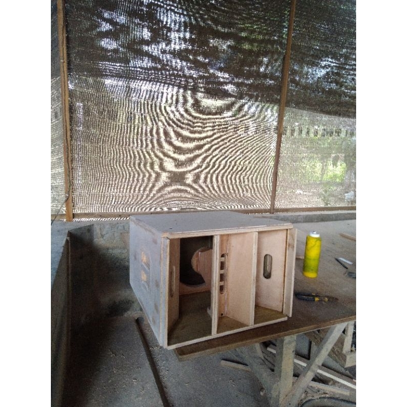 BOX TL-3 10 inch custom