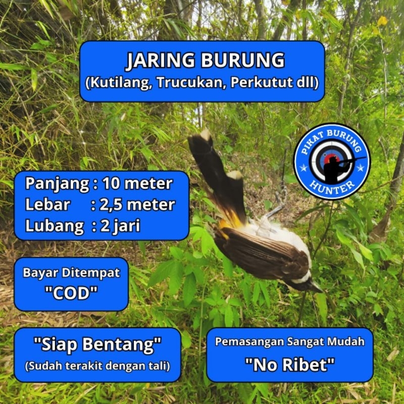 JARING BURUNG TILANG JARING BURUNG KUTILANG JALA PIKAT KUTILANG JALA PUKAT KUTILANG JARING JALA TILA
