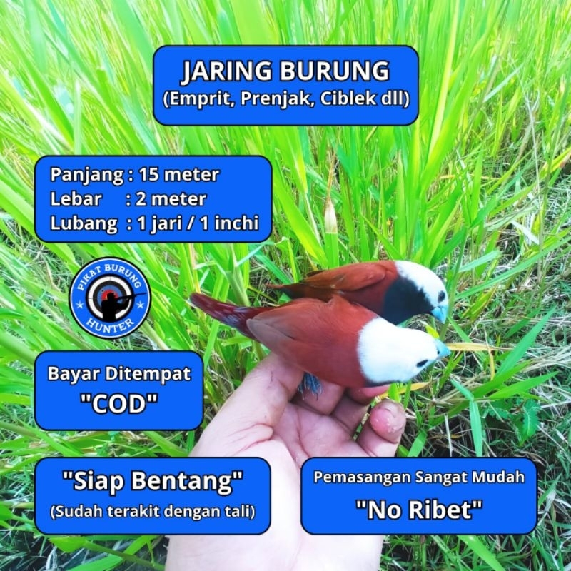 JARING BURUNG EMPRIT HAJI JARING BURUNG KECIL JARING BURUNG SAWAH JARING BURUNG PIPIT PEKING MURAH J