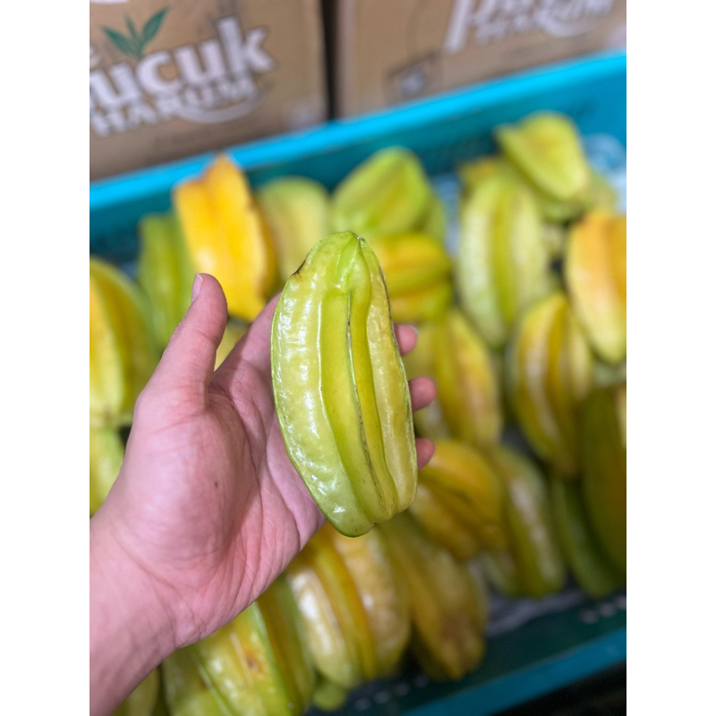 

BELIMBING Starfruit buah obat 1 KG