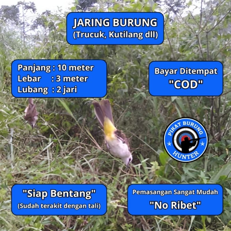 JARING JERAT BURUNG TRUCUKAN JARINGAN BURUNG SIAP PAKE JARING BURUNG TRUCUKAN JALA PIKAT BURUNG SIAP