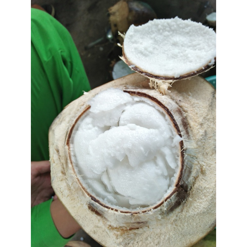 

Kelapa kopyor ( Sedang ) Asli Pati Grade A