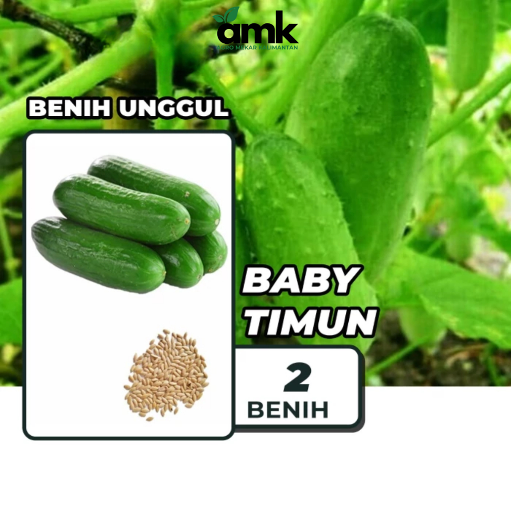 Benih Bibit BABY TIMUN Mentimun Timun Mini - Agro Mekar Kalimantan