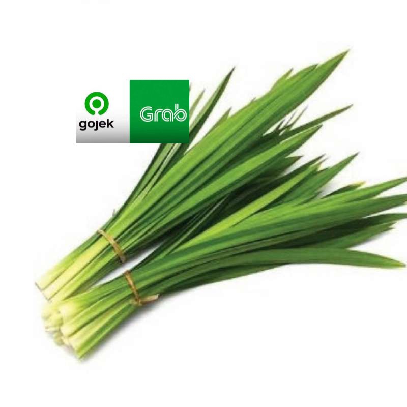 

daun pandan segar alami fresh baru petik