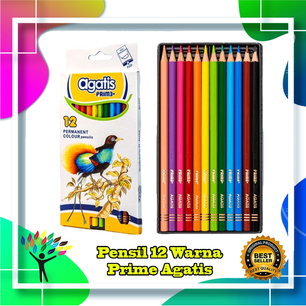 

Pensil Warna Agatis Prime Panjang
