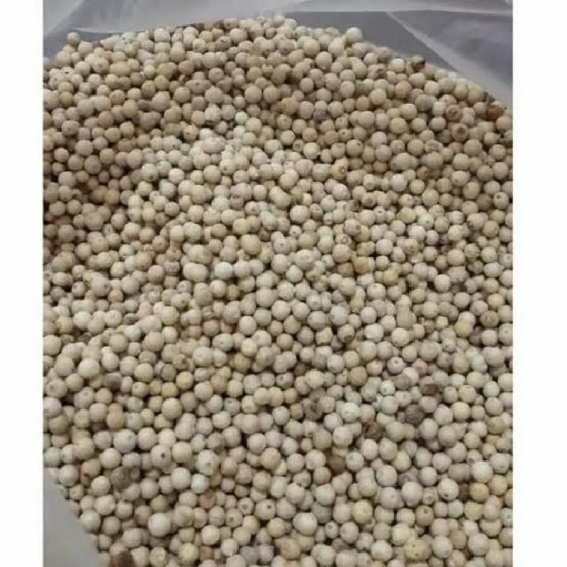 

Lada/merica bulat 1kg/kilo