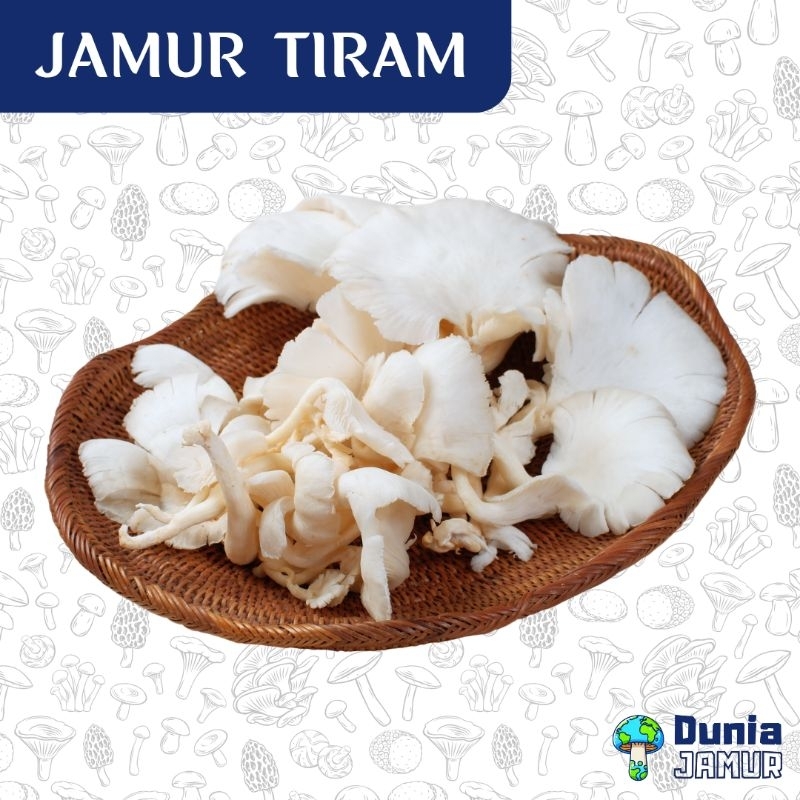 

Jamur Tiram Putih 200gr Segar Fresh Instan Sameday