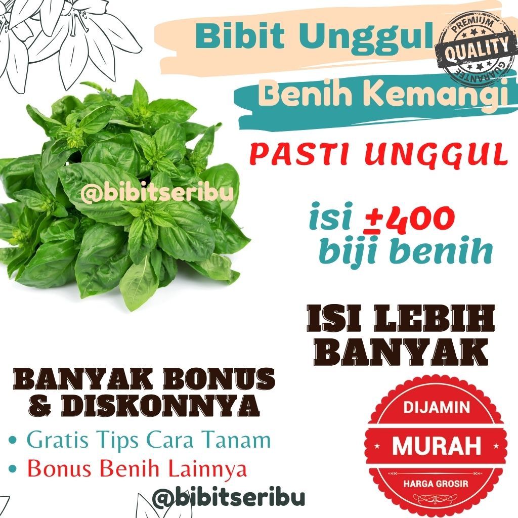 Bibit Kemangi Benih Kemangi Benih Sayuran bibit Sayuran Benih Seribuan Bibit Seribuan Benih Murah