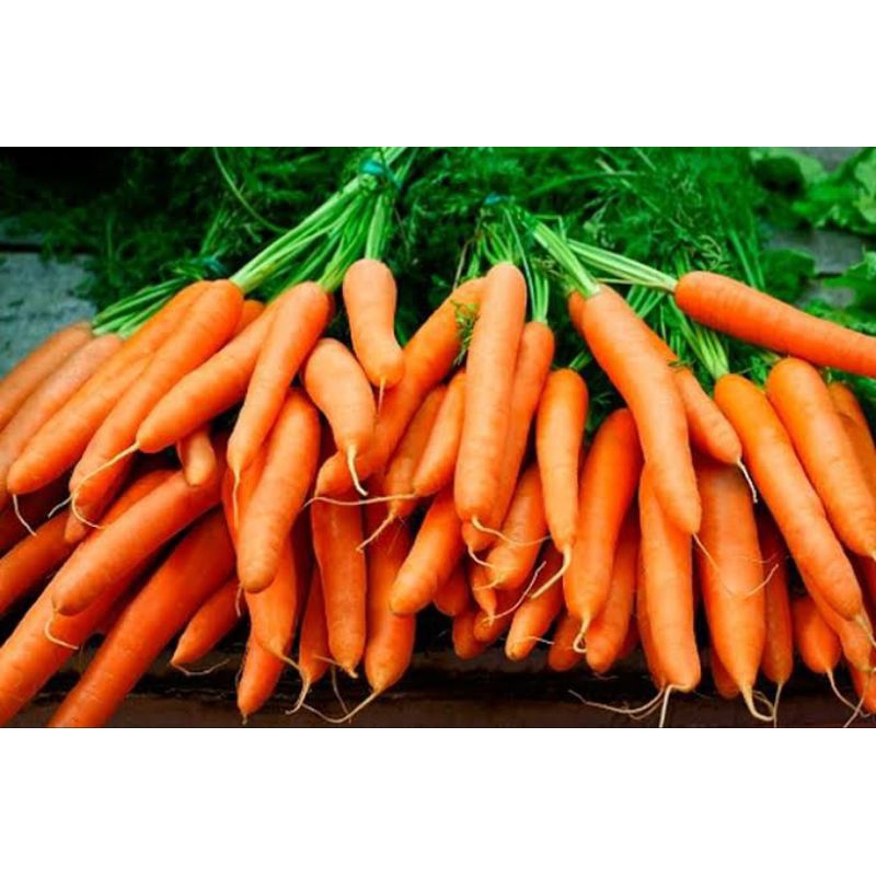 

Wortel segar fresh pasar pagi/ wartel segar fresh