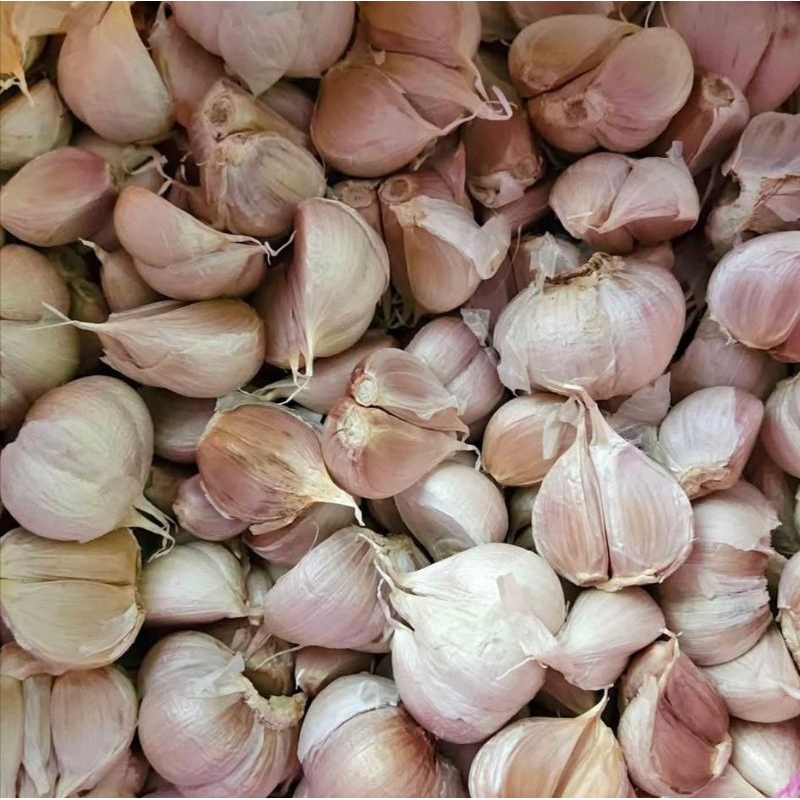 

bawang putih bersih lepas bonggol kemasan 500gr & 1000gr
