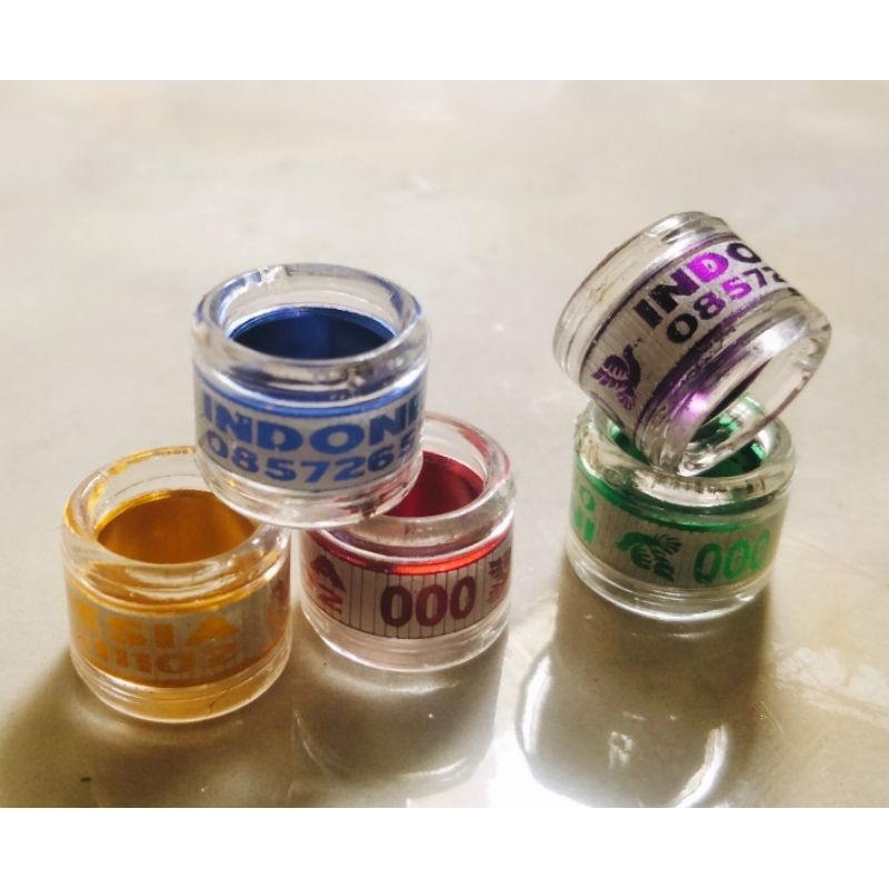 25 biji ring merpati DOBLE winner