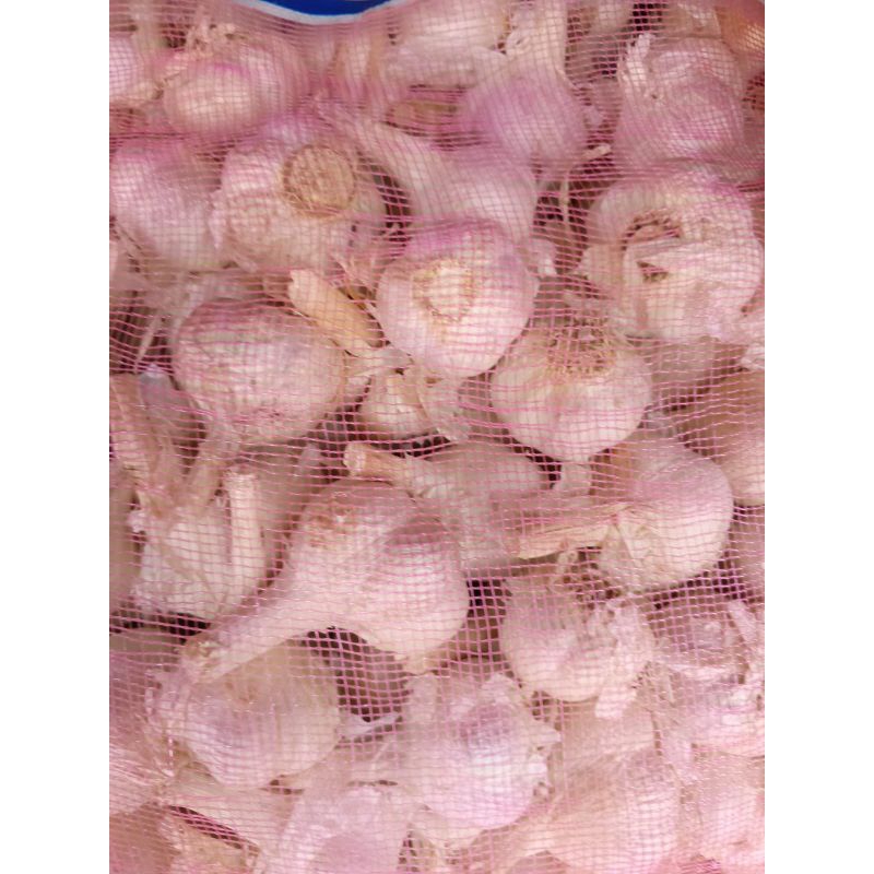 

bawang putih kating 1 kg