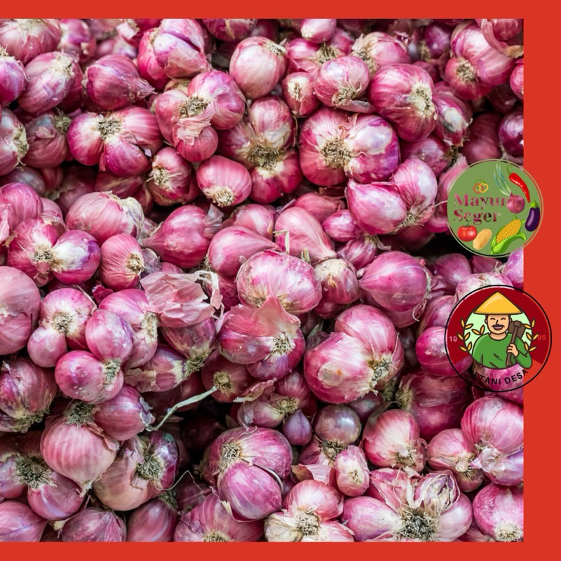 

BAWANG MERAH PETANI PROBOLINGGO 250 GRAM, 500 GRAM, 1000 GRAM/1 KG BISA KIRIM KE LUAR KOTA