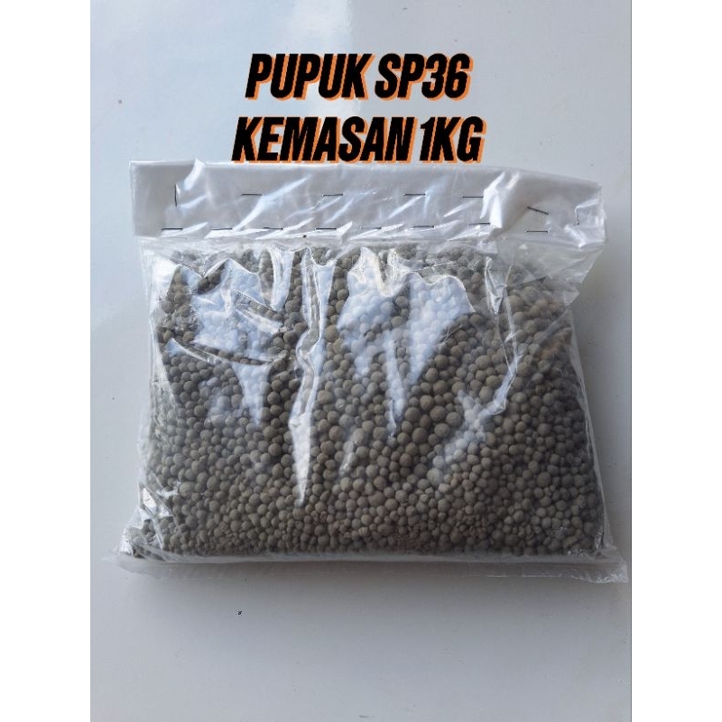 PUPUK SP36/TSP REPACK KEMASAN 1KG