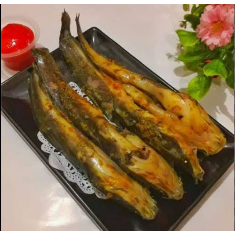 

lele 1kg isi 8-10 ekor bumbu kuning siap masak lezat