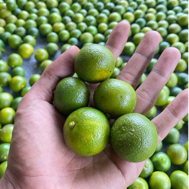 

500gr jeruk sonkit jeruk kasturi lemon cui