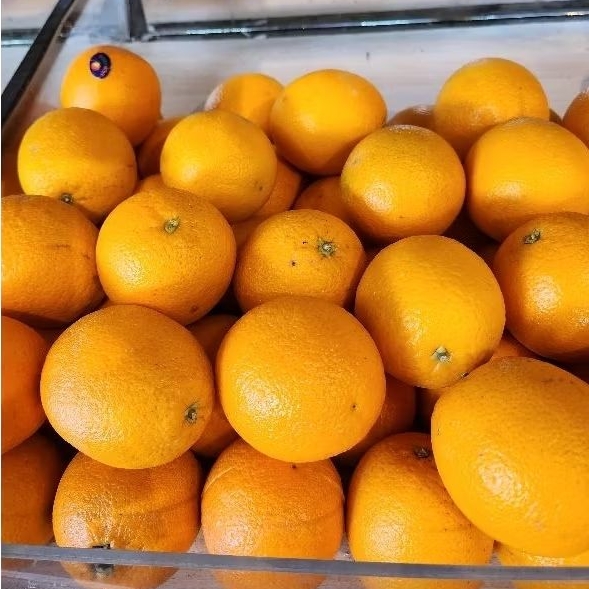 

JERUK SUNKIST VALENC1A 1 KG