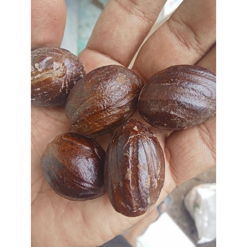 

buah pala cangkang harga seribuan kualitas terbaik di jamin