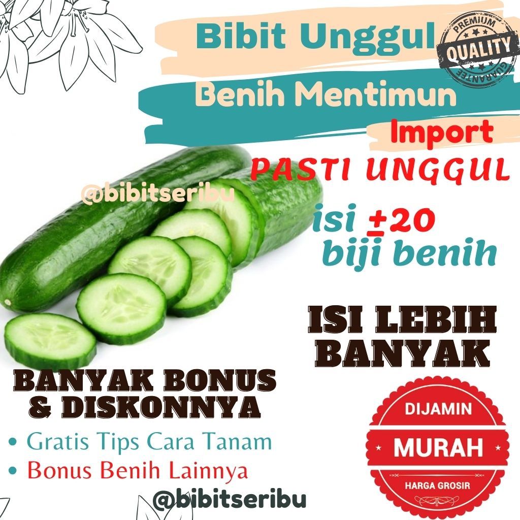 Bibit Mentimun Benih Sayuran dan Buah Siap Tanam Lengkap Bisa untuk Hidroponik