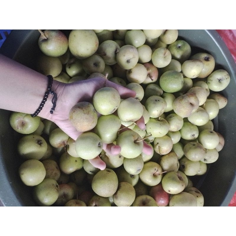 

Apel Malang mini / apel Manalagi mini 2kg