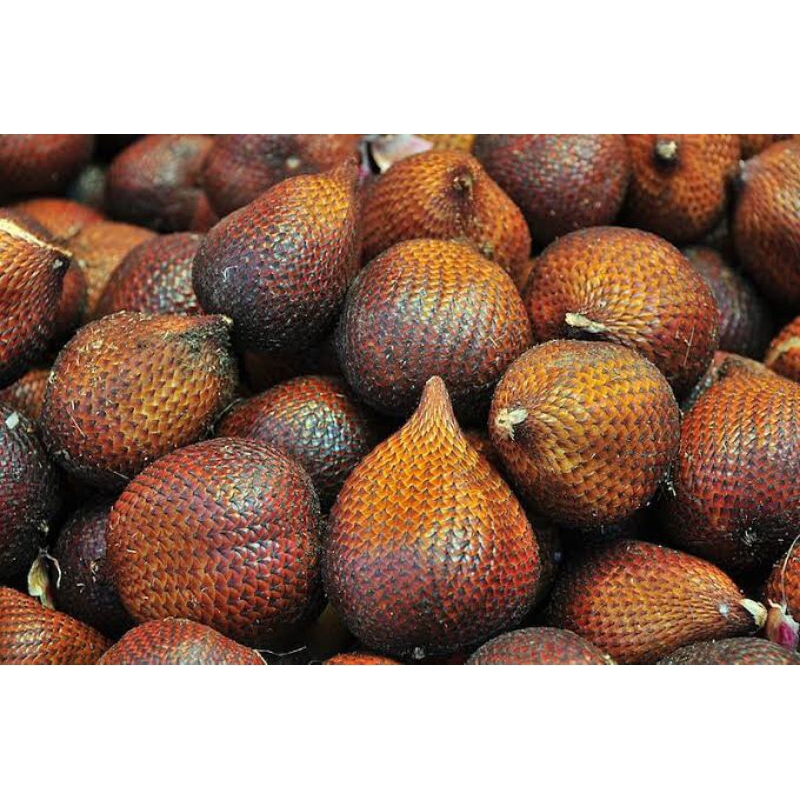 

Salak pondoh 1kg